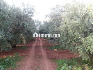 Une Ferme de 700 hectares à vendre - Terrain à vendre - Autre