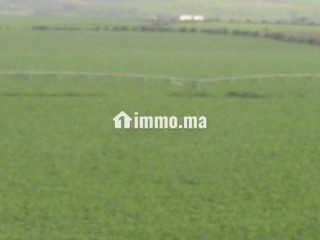 Une Ferme de 700 hectares à vendre - Terrain à vendre - Autre