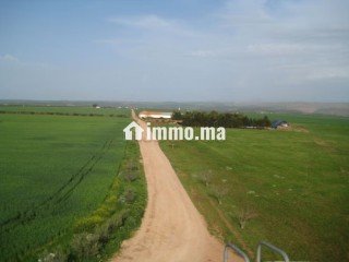 Une Ferme de 700 hectares à vendre - Terrain à vendre - Autre