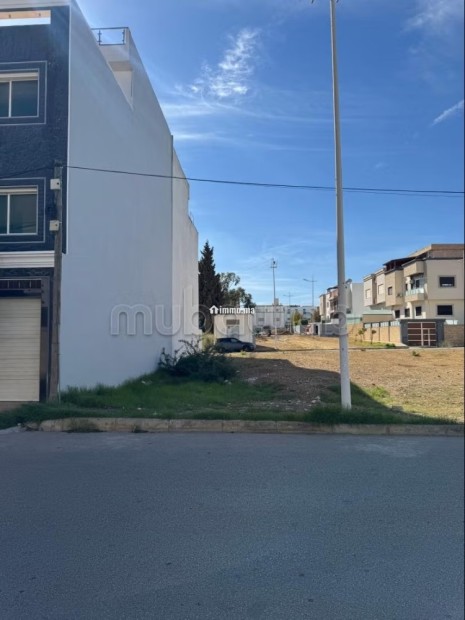 Terrain titré à vendre – Zone villas, Wilaya Tétouan - Vente Immobilier - Tetouan - photo 1