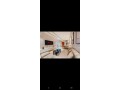 Vend appartement à Agdal. Surface totale 80 m². Bien meublé - miniature 6