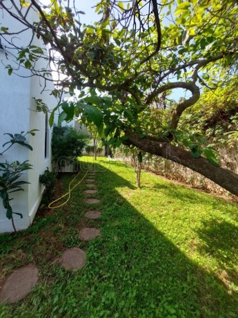 villa-a-rabat-pour-usage-professionel-a-louer-big-2