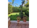 Villa à Vendre de 377m2 Hay Assil - miniature 1