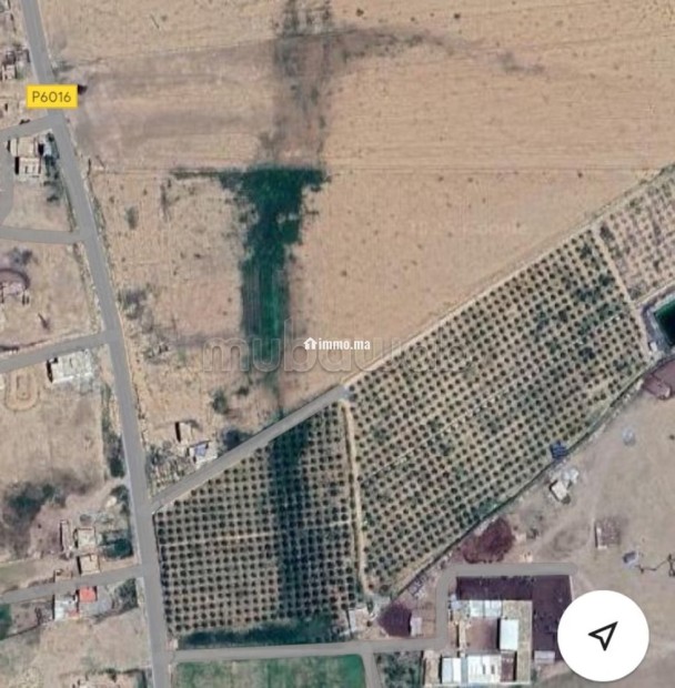 Ferme à vendre 4,5 ha avec maison et puits — Oujda - Vente Immobilier - Autre - photo 1