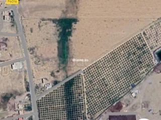 Ferme à vendre 4,5 ha avec maison et puits — Oujda - Maison à vendre - Autre