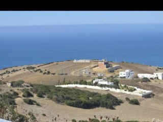 أرض للبيع مُحفظة - Terrain à vendre - Asilah
