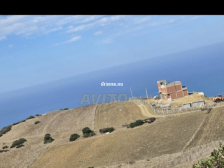 أرض للبيع مُحفظة - Terrain à vendre - Asilah