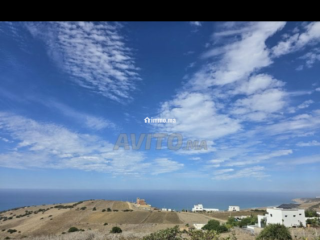 أرض للبيع مُحفظة - Terrain à vendre - Asilah