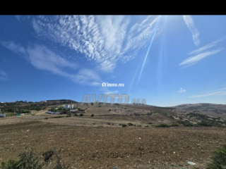 أرض للبيع مُحفظة - Terrain à vendre - Asilah