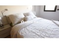 joli-appart-meuble-a-louer-quartier-les-hopitaux-small-2