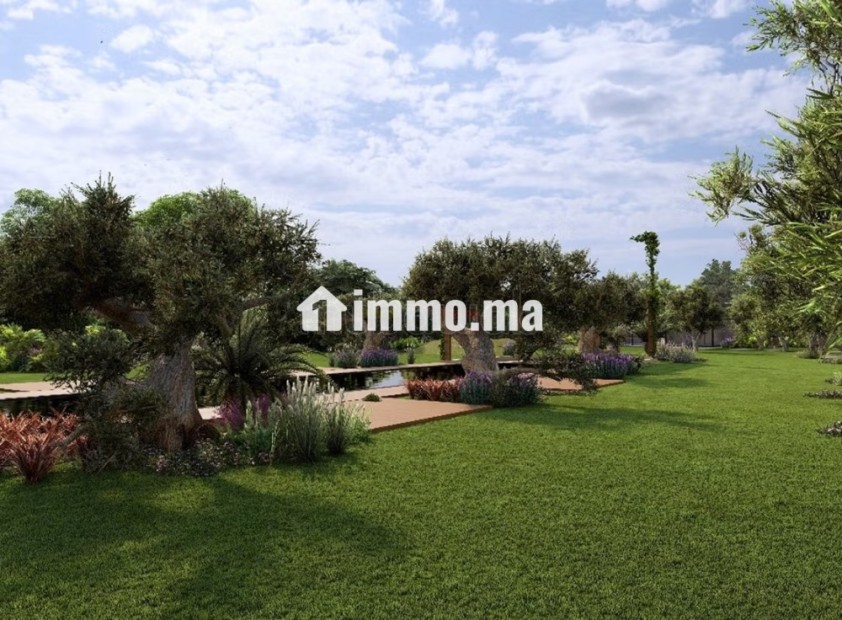 Circuit de la Palmeraie 1HA & permis de construire - Vente Immobilier - Marrakech - photo 1