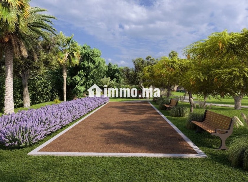 Circuit de la Palmeraie 1HA & permis de construire - Vente Immobilier - Marrakech - photo 3