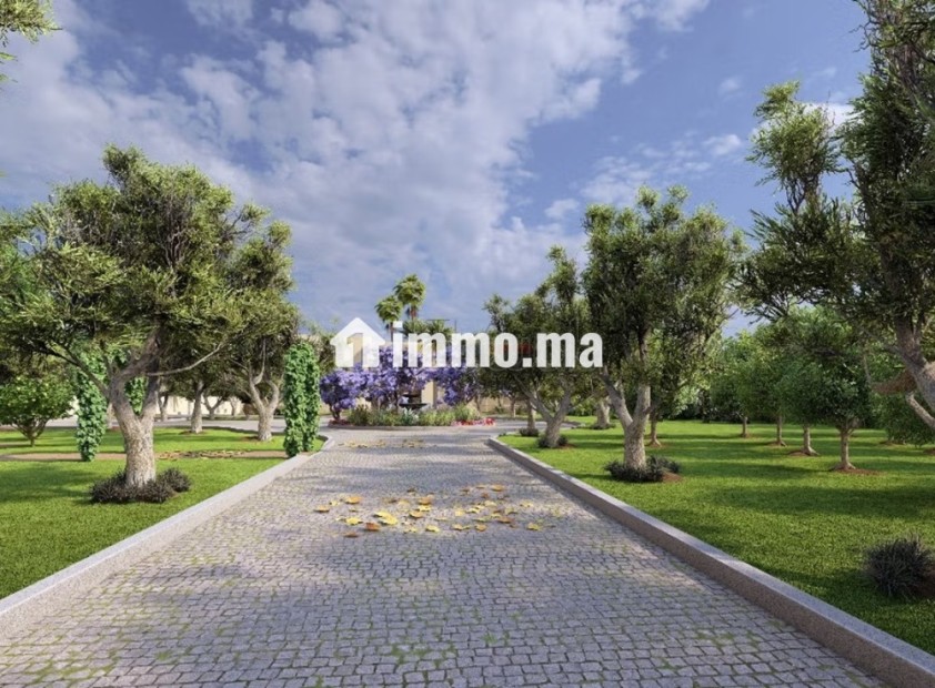 Circuit de la Palmeraie 1HA & permis de construire - Vente Immobilier - Marrakech - photo 5