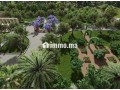 Circuit de la Palmeraie 1HA & permis de construire - miniature 2