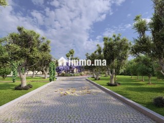 Circuit de la Palmeraie 1HA & permis de construire - Appartement à vendre - Marrakech