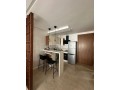 a-louer-elegant-studio-meuble-quartier-bourgogne-small-2