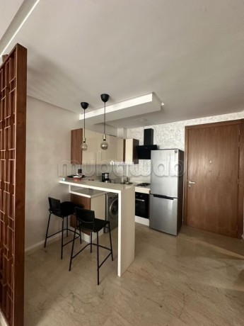 a-louer-elegant-studio-meuble-quartier-bourgogne-big-2