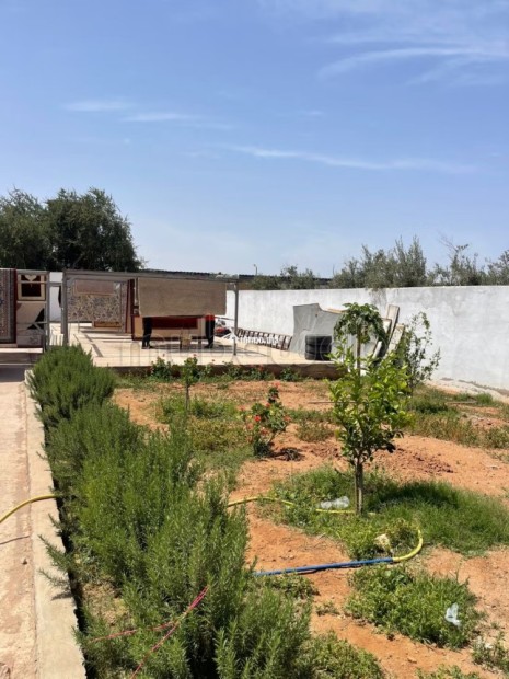 Terrain de 1000 m² à vendre Dépot Sidi Bibi - Vente Immobilier - Autre - photo 3
