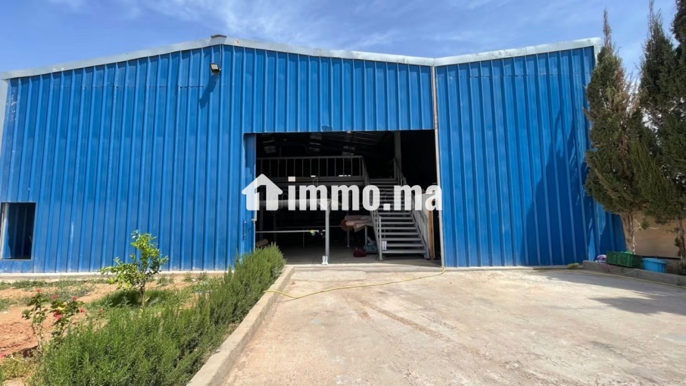 Terrain de 1000 m² à vendre Dépot Sidi Bibi - Vente Immobilier - Autre - photo 4