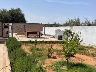 Terrain de 1000 m² à vendre Dépot Sidi Bibi - Terrain à vendre - Autre