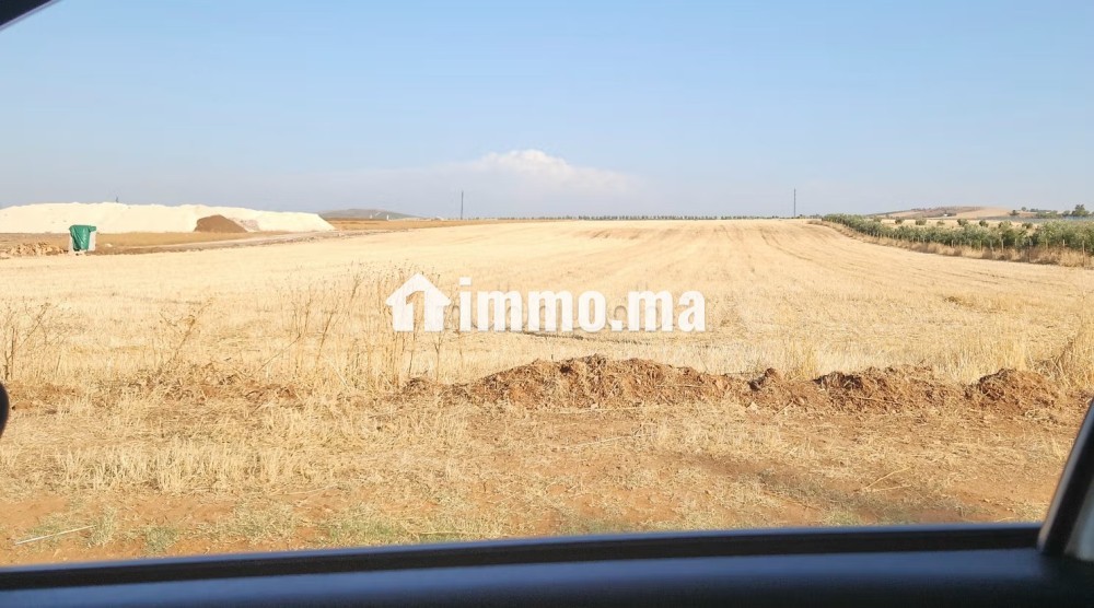 Terrain de luxe sur route nationale Mhaya pour projet - Vente Immobilier - Meknes - photo 1