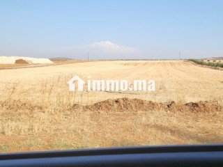 Terrain de luxe sur route nationale Mhaya pour projet - Terrain à vendre - Meknes