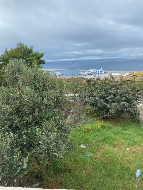 Terrain à vendre à Ksar Sghir,
Tanger Med - Vente Immobilier - Autre - photo 3