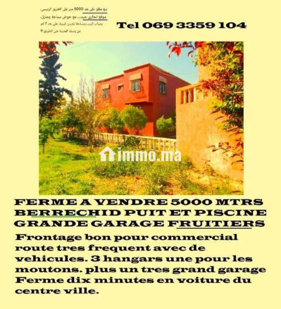 FERME A VENDRE - Vente Immobilier - Berrechid - photo 4