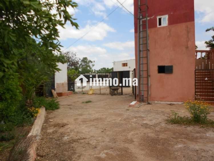 FERME A VENDRE - Vente Immobilier - Berrechid - photo 6