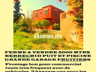 FERME A VENDRE - Terrain à vendre - Berrechid