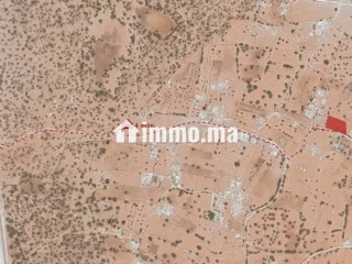 Terrain à Vendre Cme Sidi Kaouki 18km d Essaouira - Terrain à vendre - Essaouira