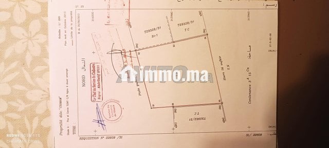 Beau terrain titré - Vente Immobilier - Tiznit - photo 3