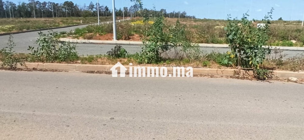 Lot terrain 301 M pour villa 3 min Nouveau Marjane - Vente Immobilier - Kenitra - photo 5