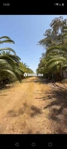 Ferme exceptionnelle à vendre près d'Assilah ✨ - Vente Immobilier - Tanger - photo 5