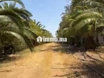 Ferme exceptionnelle à vendre près d'Assilah ✨ - Terrain à vendre - Tanger