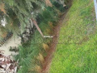 Appartement neuf de haut standing à Ain Diab Exten - Appartement à louer - Casablanca
