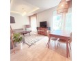 tres-beau-et-grand-studio-meuble-a-la-location-avec-une-grande-terrasse-bien-ensoleillee-small-2