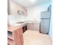 tres-beau-et-grand-studio-meuble-a-la-location-avec-une-grande-terrasse-bien-ensoleillee-small-4
