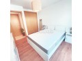 tres-beau-et-grand-studio-meuble-a-la-location-avec-une-grande-terrasse-bien-ensoleillee-small-7