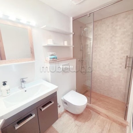 tres-beau-et-grand-studio-meuble-a-la-location-avec-une-grande-terrasse-bien-ensoleillee-big-5