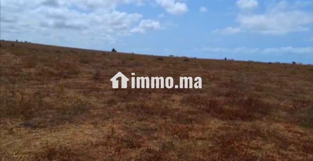 Terrain d'un hectare entre forêt et océan - Vente Immobilier - Autre - photo 1