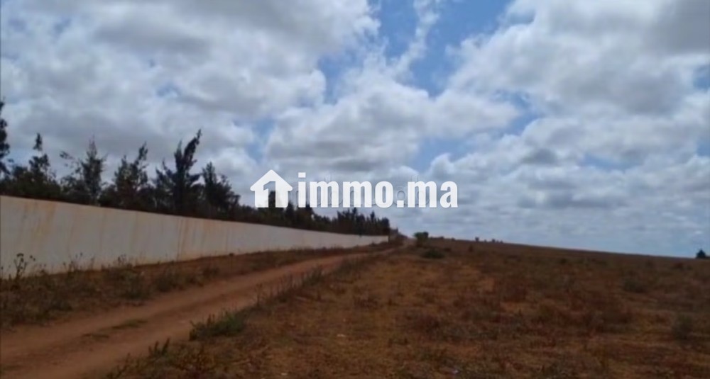 Terrain d'un hectare entre forêt et océan - Vente Immobilier - Autre - photo 3