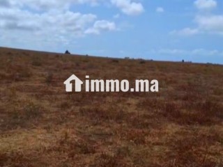 Terrain d'un hectare entre forêt et océan - Terrain à vendre - Autre