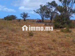 Terrain d'un hectare entre forêt et océan - Terrain à vendre - Autre