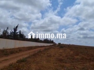 Terrain d'un hectare entre forêt et océan - Terrain à vendre - Autre
