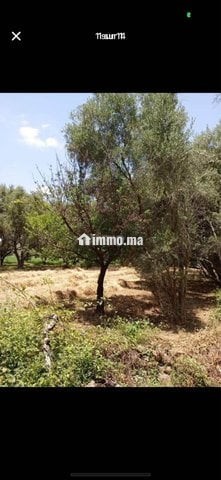 Terrain Melkia, excellent emplacement - Vente Immobilier - Marrakech - photo 1