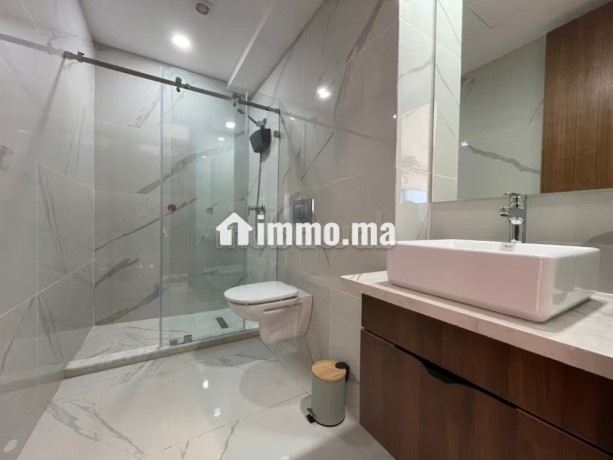 grand-studio-meuble-sans-vis-a-vis-a-louer-big-4