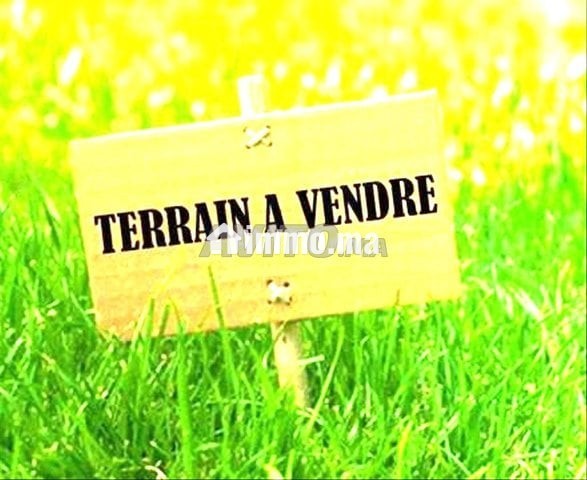Terrain à vendre d'angle - Vente Immobilier - Rabat - photo 1