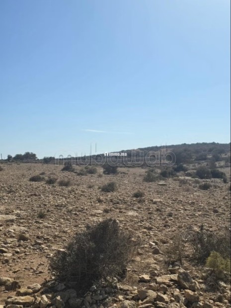 Terrain titré de 3 000 m² à Douar Lareich - Vente Immobilier - Essaouira - photo 2
