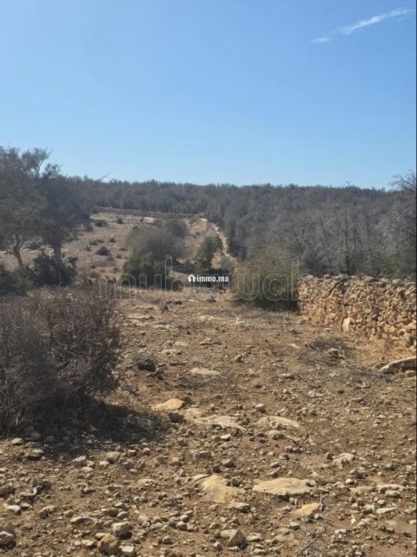 Terrain titré de 3 000 m² à Douar Lareich - Vente Immobilier - Essaouira - photo 3